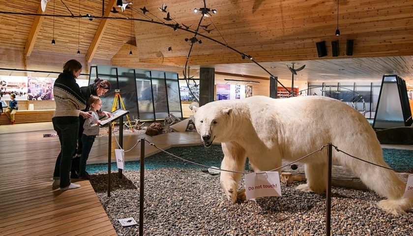 2 femmes et une fillette lisant un panneau devant un ours polaire empaillé