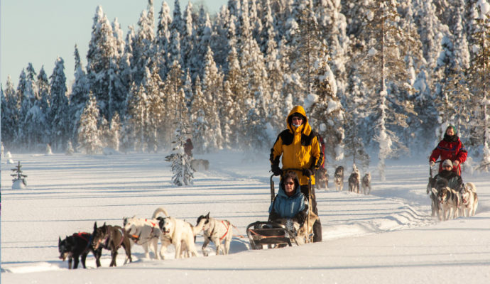 cortège de chiens de 3 traîneaux dans un paysage enneigé