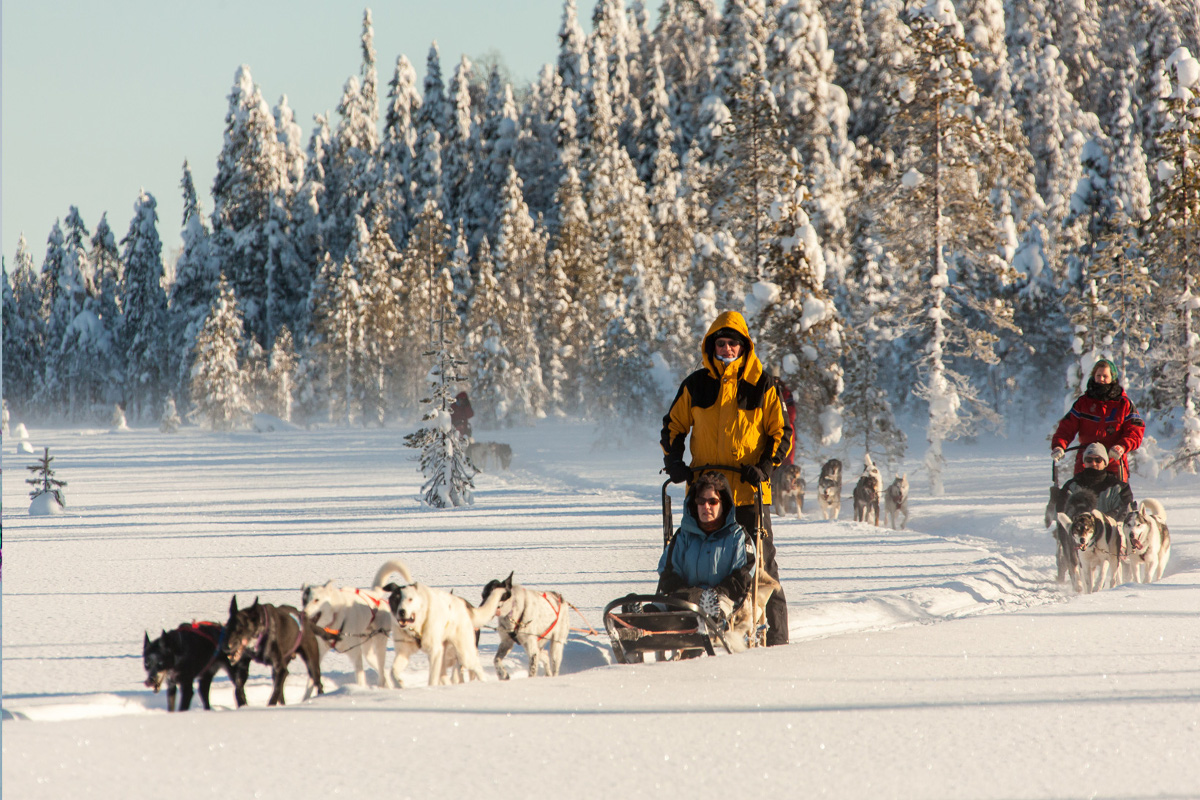 cortège de chiens de 3 traîneaux dans un paysage enneigé